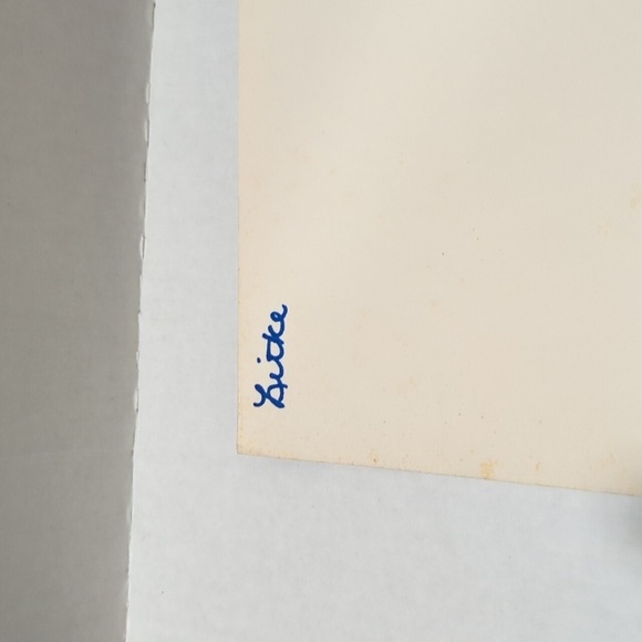 Scholastic Misc.Authors Animal Themed Book Set of 4 Paperback Books - Picture 3 of 5